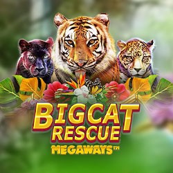 Big Cat Rescue Megaways