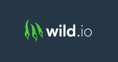 Wild.io Casino Review