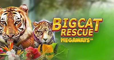Big Cat Rescue Megaways