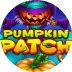 Pumpkin Patch