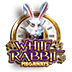 White Rabbit